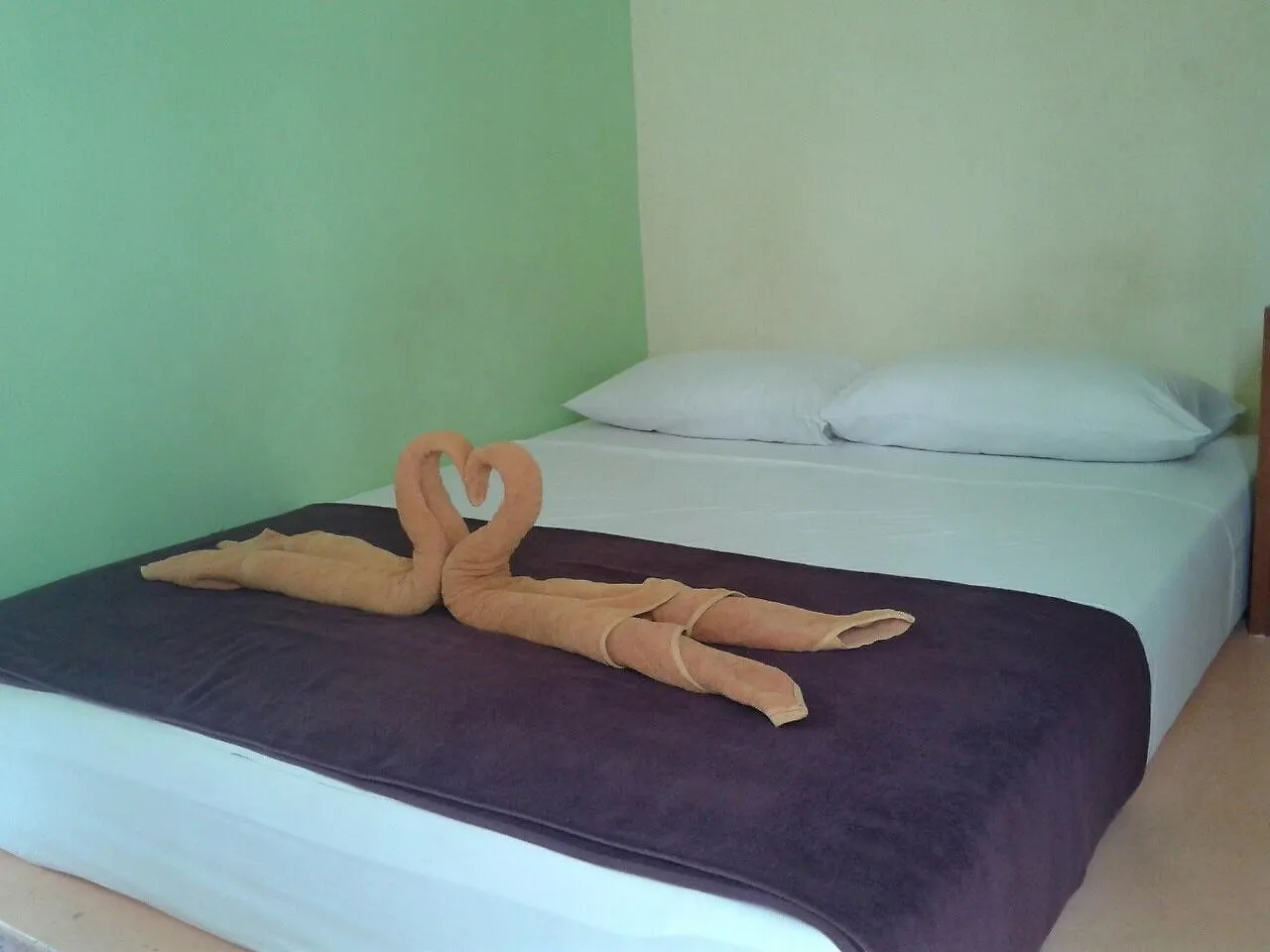 Amonrada House Vandrehjem Koh Tao 0*,  Thailand